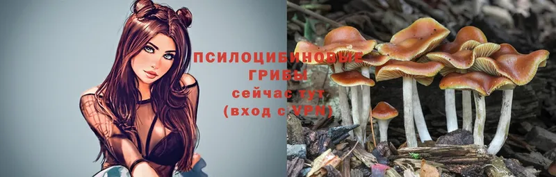 маркетплейс как зайти  Энгельс  Галлюциногенные грибы MAGIC MUSHROOMS 